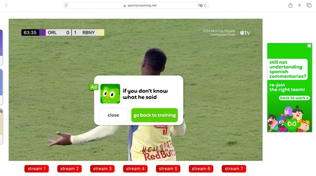 Duolingo - Illegal Reminders